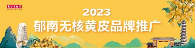 多图回顾｜黄皮园里的嘉年华，送你一园浪漫