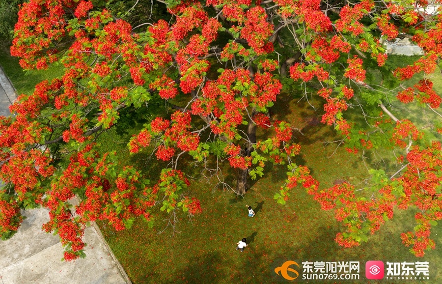 微信图片_202304291140531.jpg