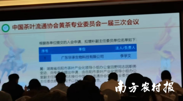 带动超3万人次就业！赋能乡村振兴，梅州黄茶产业正当时