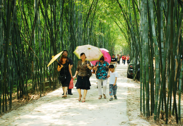 竹海大觀森林康養(yǎng)基地。