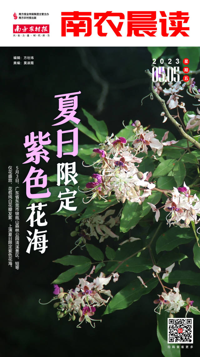 南方農(nóng)村報 樊靜東 制圖