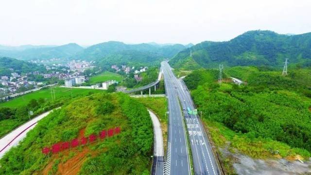 罗定是“中国肉桂之乡”。