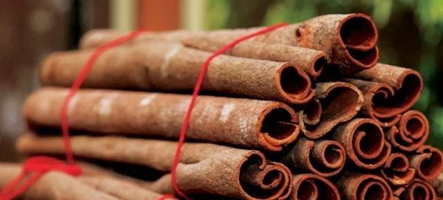 肉桂是世界上重要的香料之一。