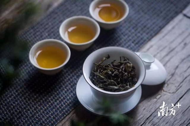 茶香与生活的优雅交织