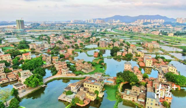 鹤山10个镇街各有特色,图为岭南水乡古劳镇,这里也是咏春拳开派师祖