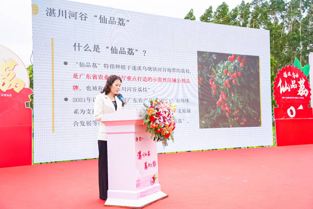 遂溪县农业农村局党组书记、局长陈连虹