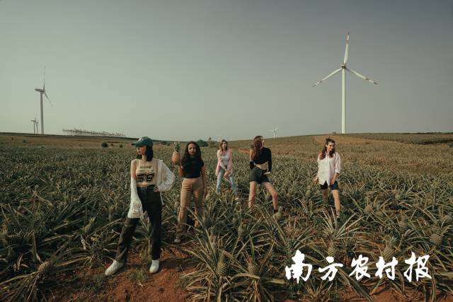 国际友人打卡“菠萝的海”。