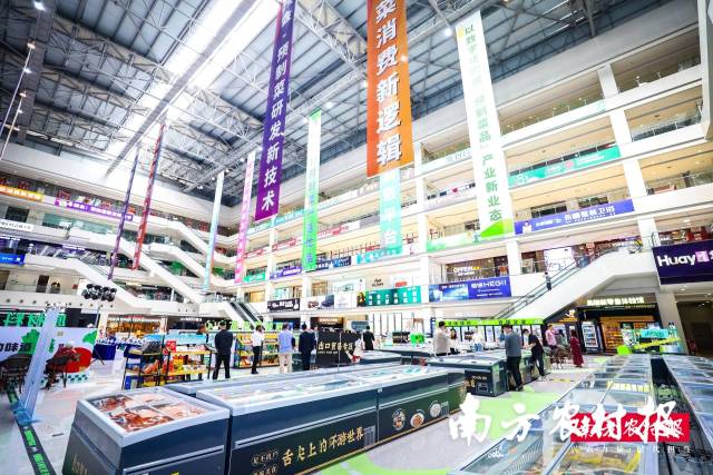 南方农村报 杨玲 拍摄