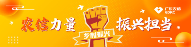 3年投入800亿元，广东农信“大手笔”支持现代化海洋牧场建设