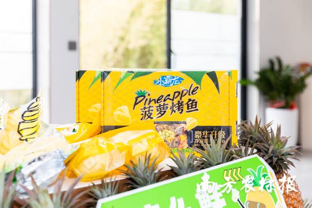 徐闻菠萝烤鱼预制菜。