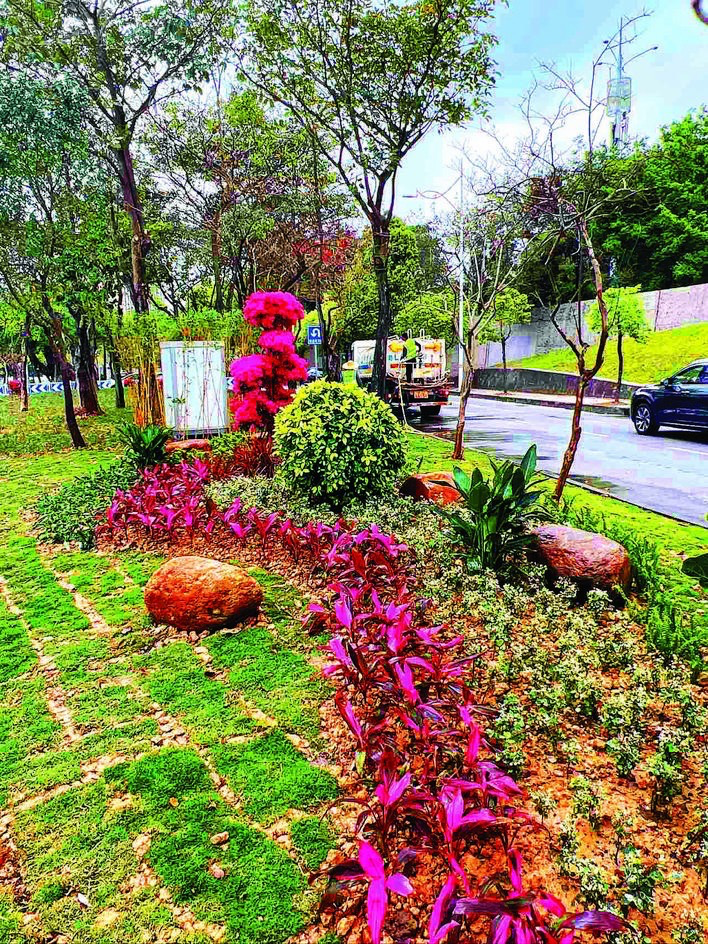 经过整治，合生大桥南桥头（往滨江西路方向）周边绿地有了很大改观。