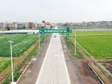 镇委书记打擂台｜肇庆冷坑镇：做强蔬菜产业，创建县域副中心