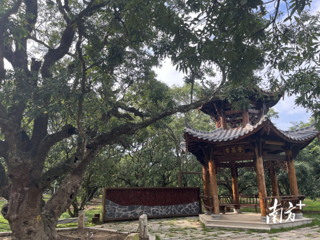 环境优美的古荔园，成为村民们休闲时的好去处。