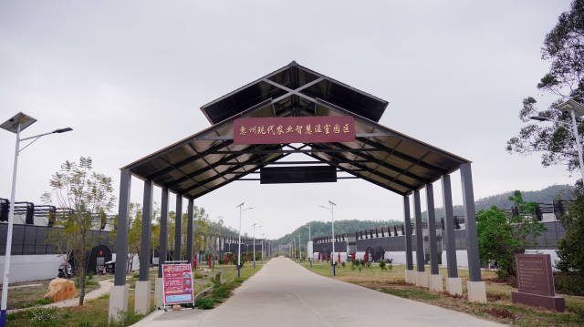 博罗县杨村镇羊和村花卉智慧温室