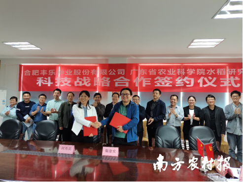 水稻研究所与丰乐种业公司举行战略合作签约仪式。
