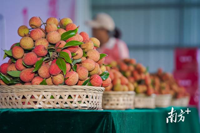 仙品荔甜度高，口感好。