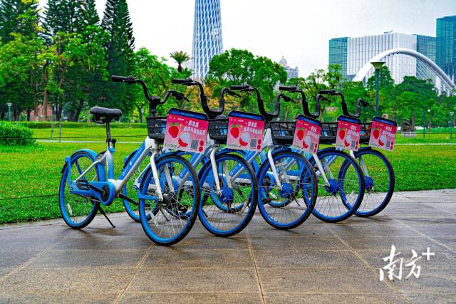 大街小巷的哈罗单车和仙品荔