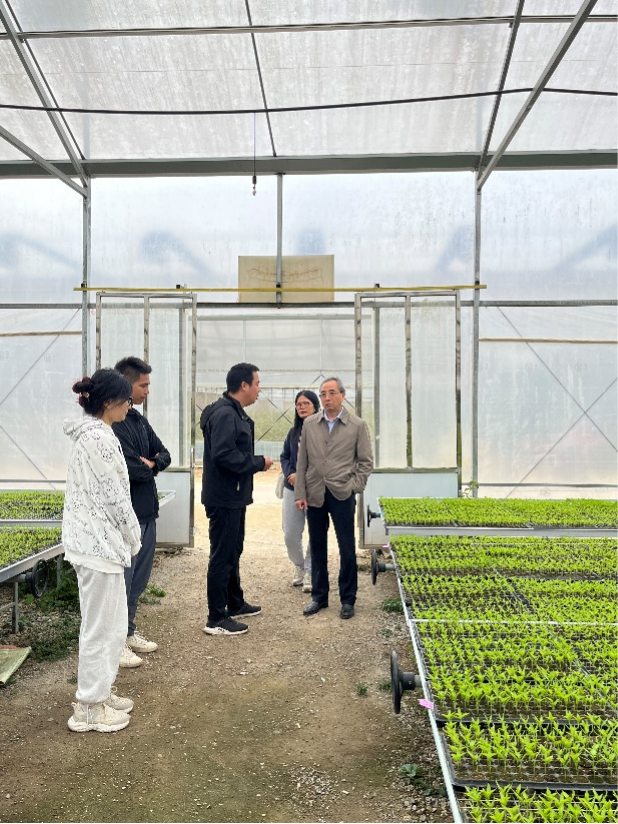 服务团队指导推广工厂化蔬菜育苗。