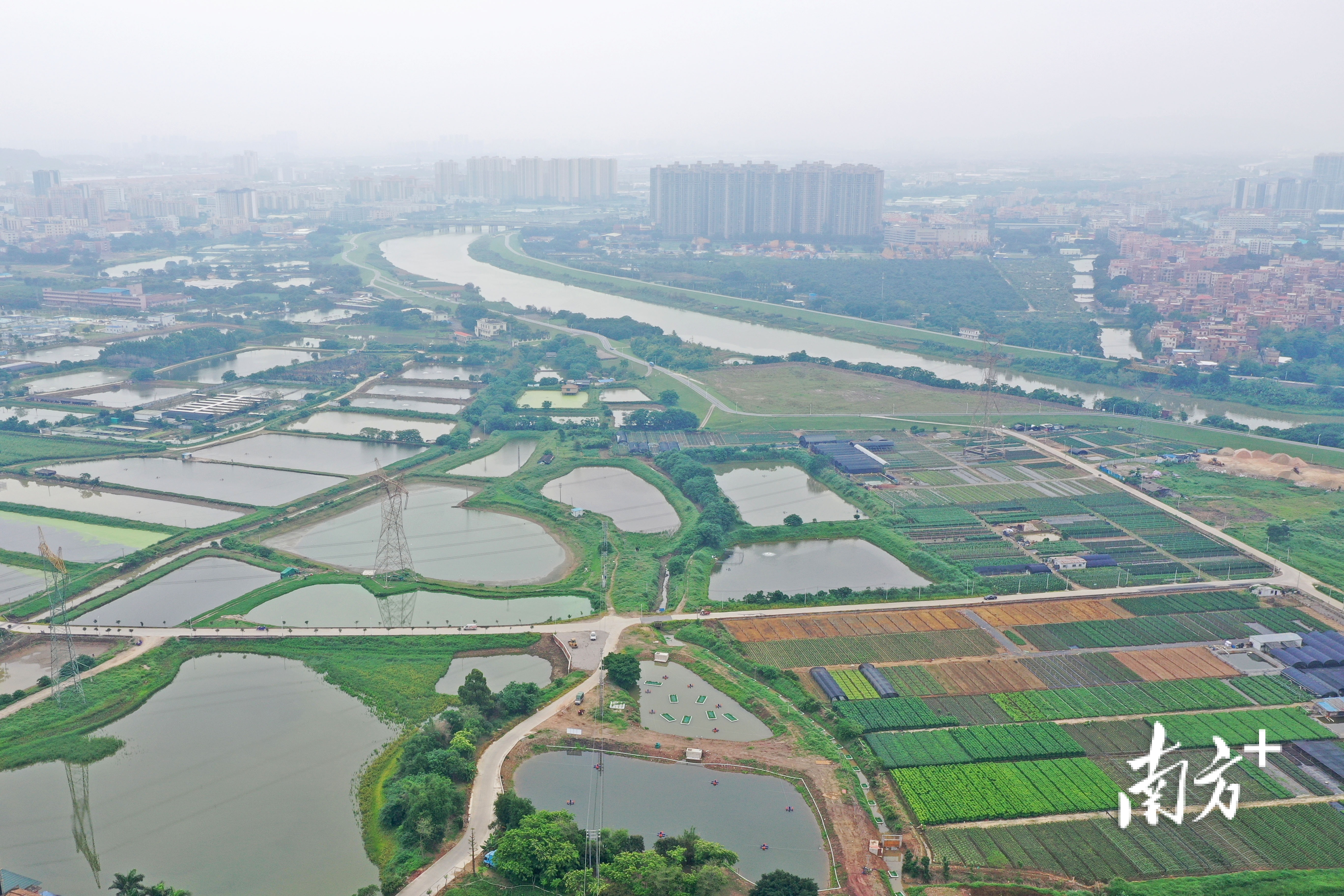 南海水产养殖发达，2022年南海区发起了全域养殖池塘改造提升五年行动。