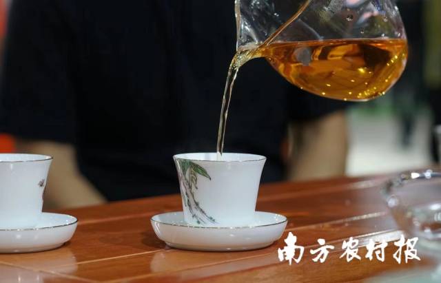 受訪者供圖