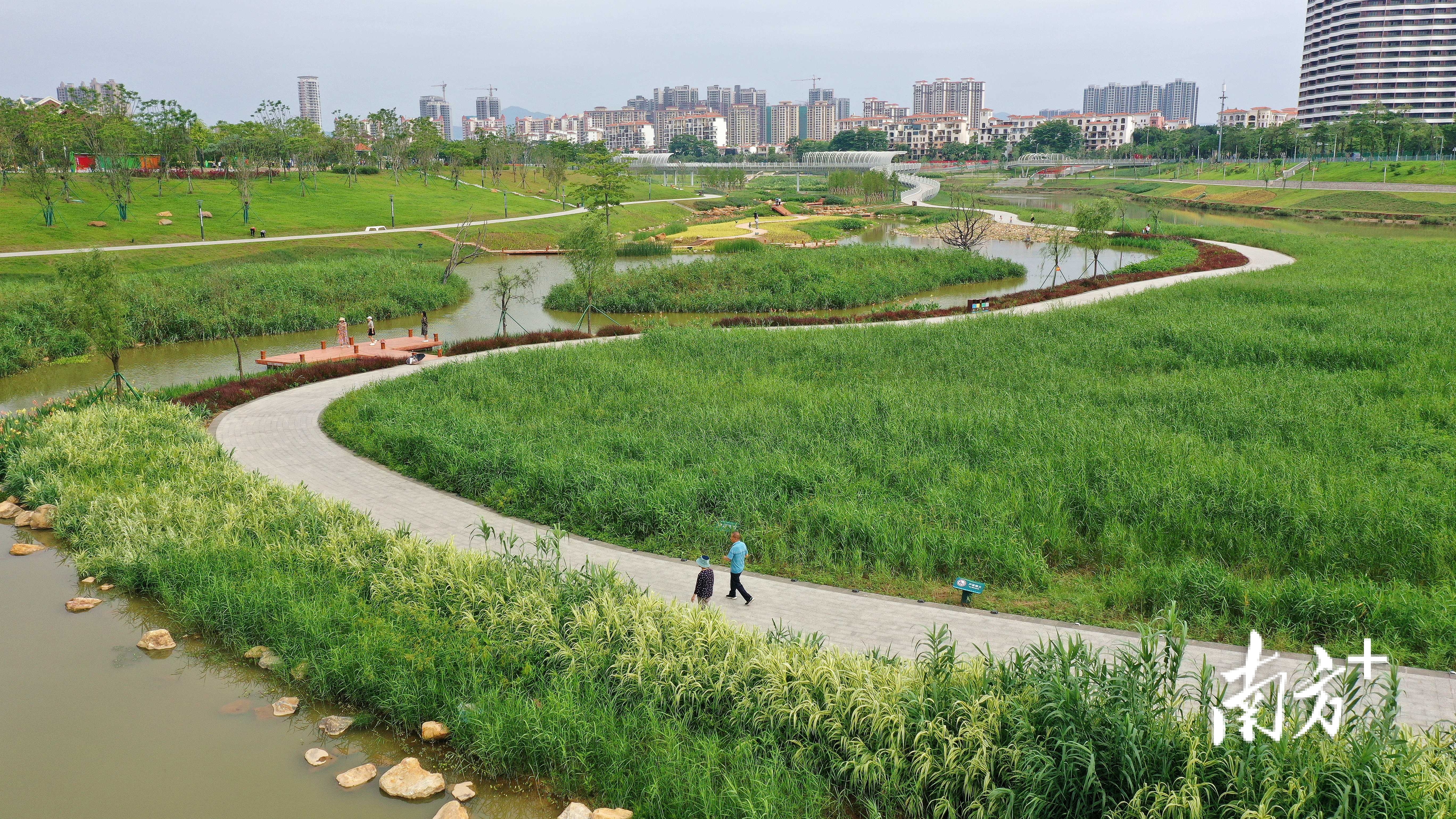 行走在湿地旁被绿色包围的小路上，令人心旷神怡。