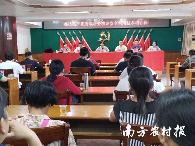 全“荔”以赴 云浮罗定举办荔枝高产优质栽培培训班