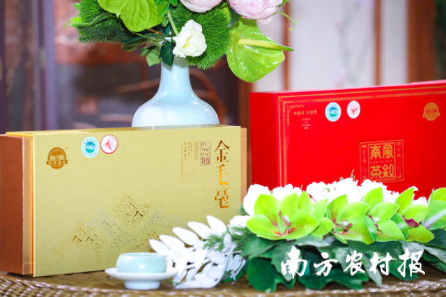 受訪者供圖