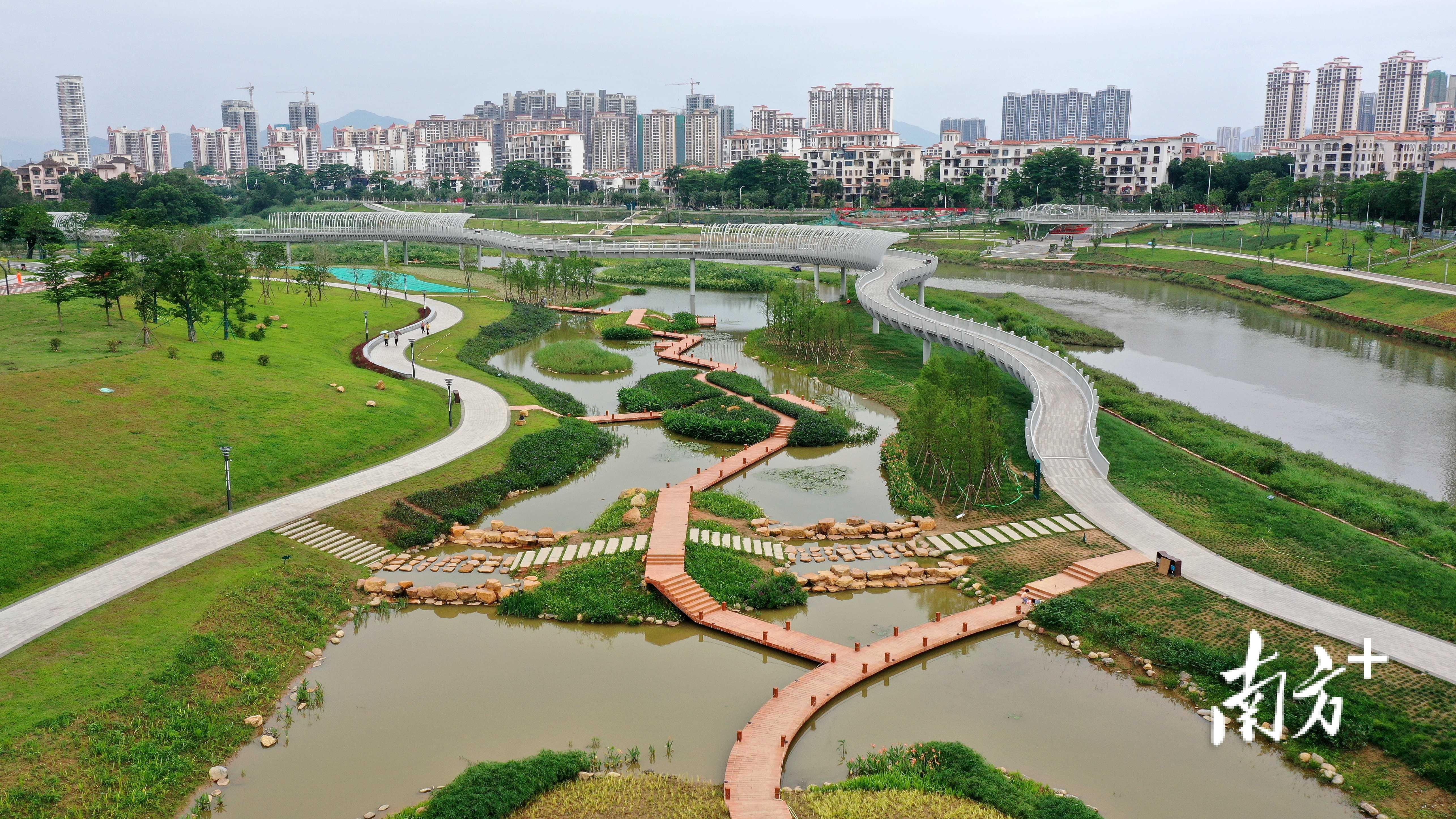 仿木栈道伸入水中纵横交错。  