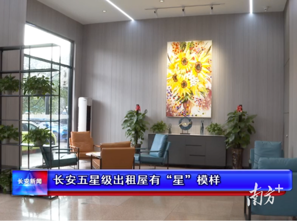 长安新闻聚焦五星级出租屋。