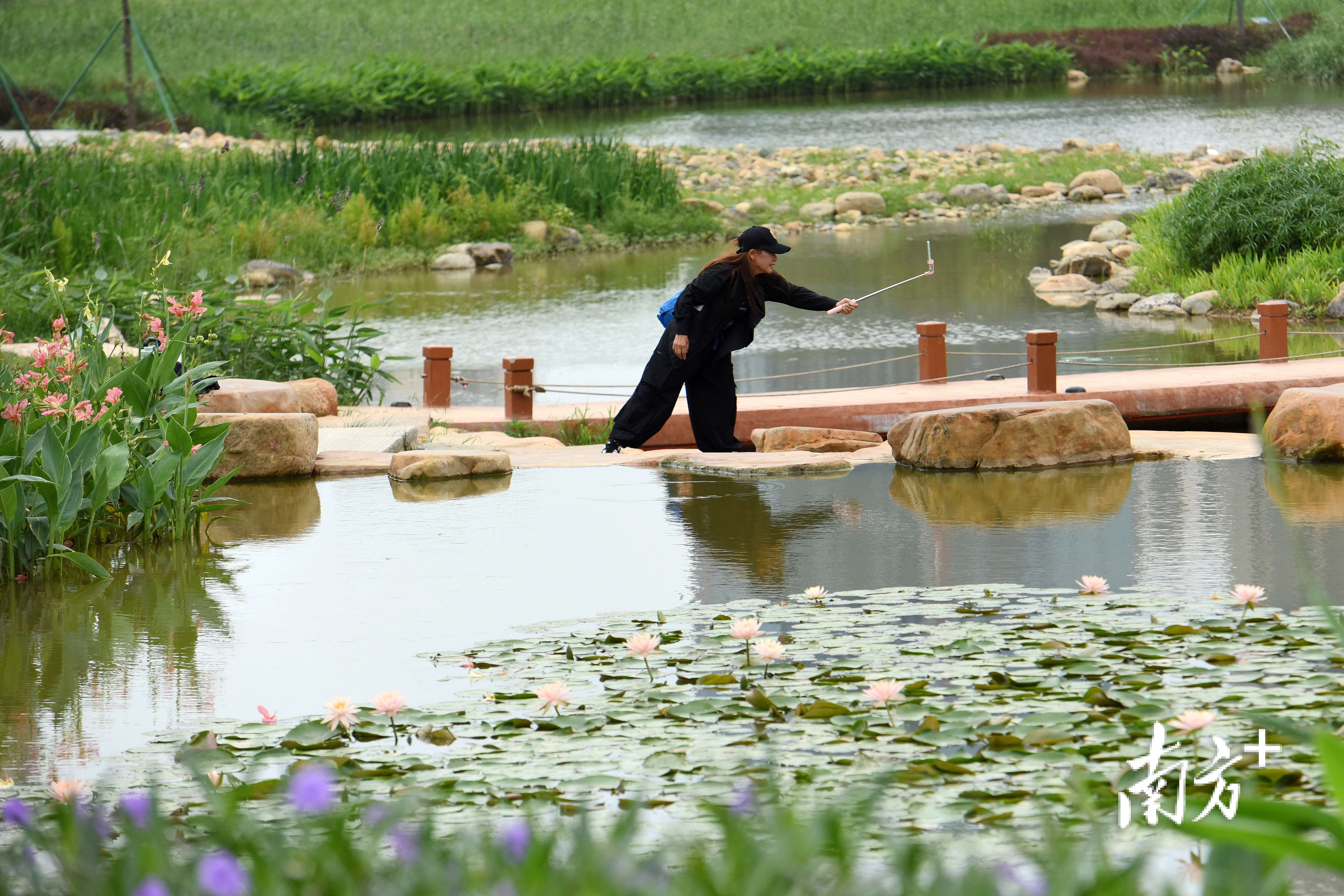淡水河畔，处处是美景，市民常来打卡拍照。