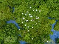 胡建斌：统筹资源保护与要素保障支撑高质量发展