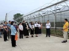 南沙榄核镇委党校开展村（社区）分教点观摩交流活动