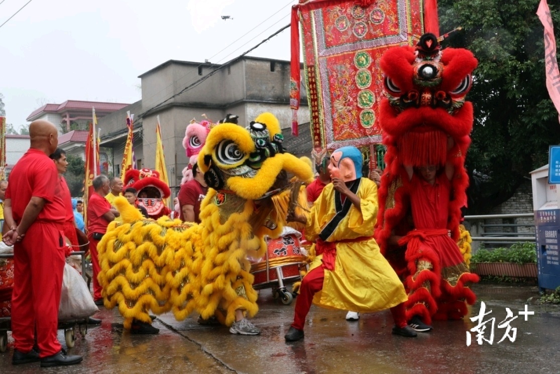醒狮助兴。卢淑欣 摄 醒狮助兴。卢淑欣 摄