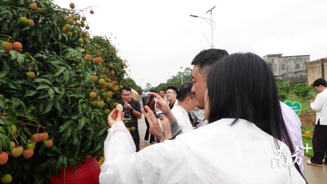 南方农村报 惠婷婷 拍摄