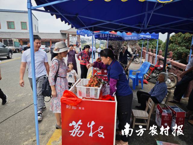 景區(qū)周邊已有少量白糖罌荔枝銷售,，售價(jià)達(dá)20元/斤。