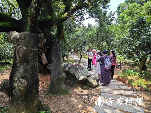 受訪者供圖