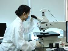 金融如何为科技创新插上腾飞“翅膀”?