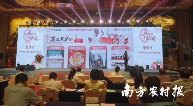 中荔集团作为广东荔枝企业代表进行现场推介。