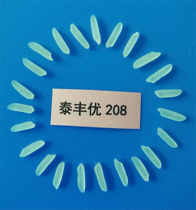 泰丰优208优质精米