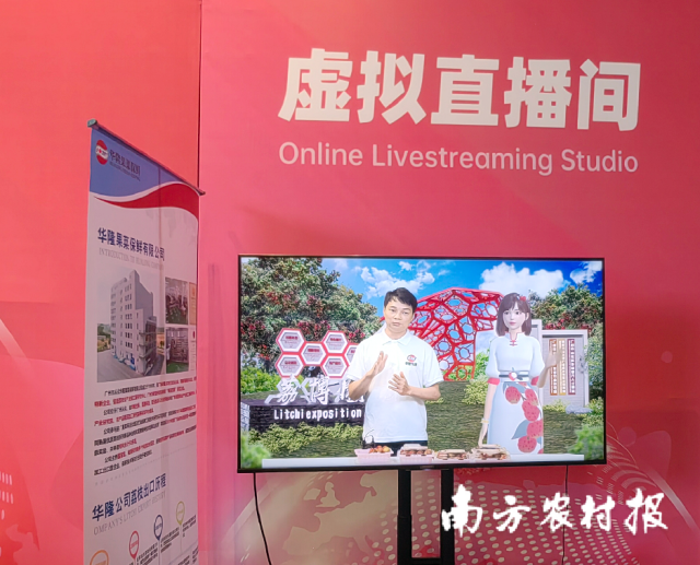5月17日，全国首个荔枝元宇宙——从化荔枝元宇宙虚拟直播再度亮相。