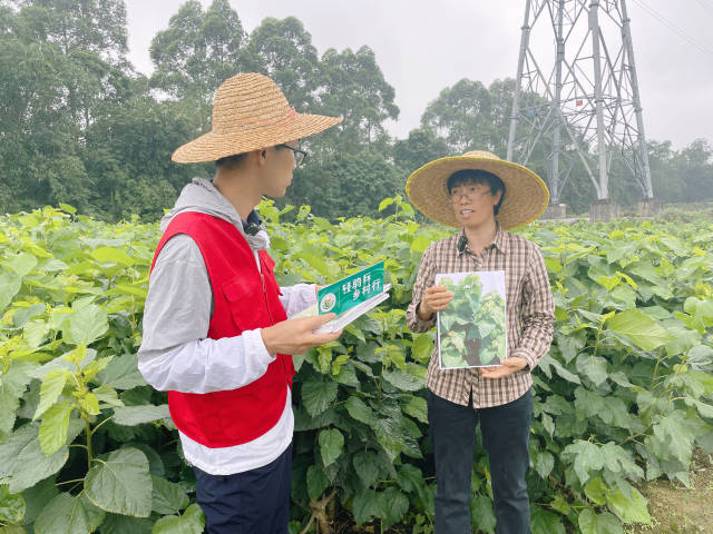 廣東省農(nóng)業(yè)科學(xué)院蠶業(yè)與農(nóng)產(chǎn)品加工研究所研究員唐翠明（右）