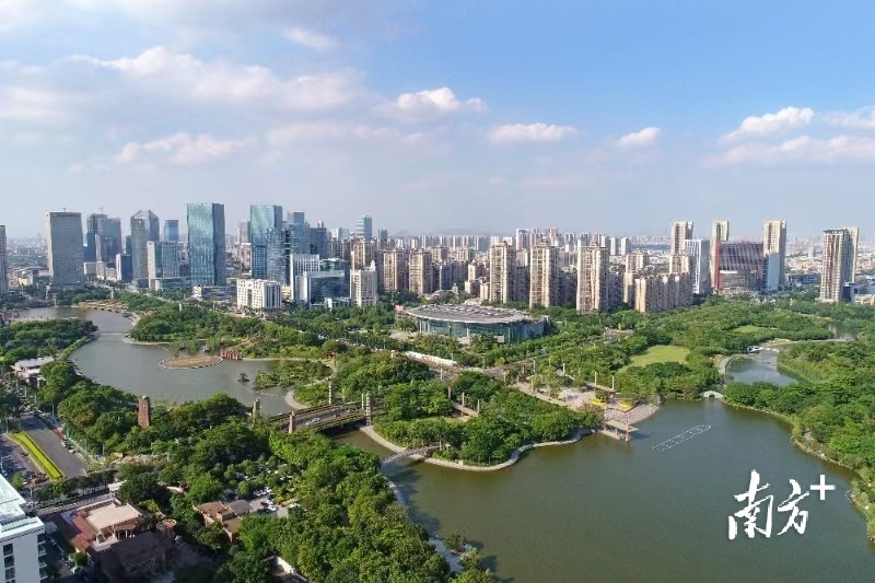 千灯湖公园。南方+记者 戴嘉信 摄