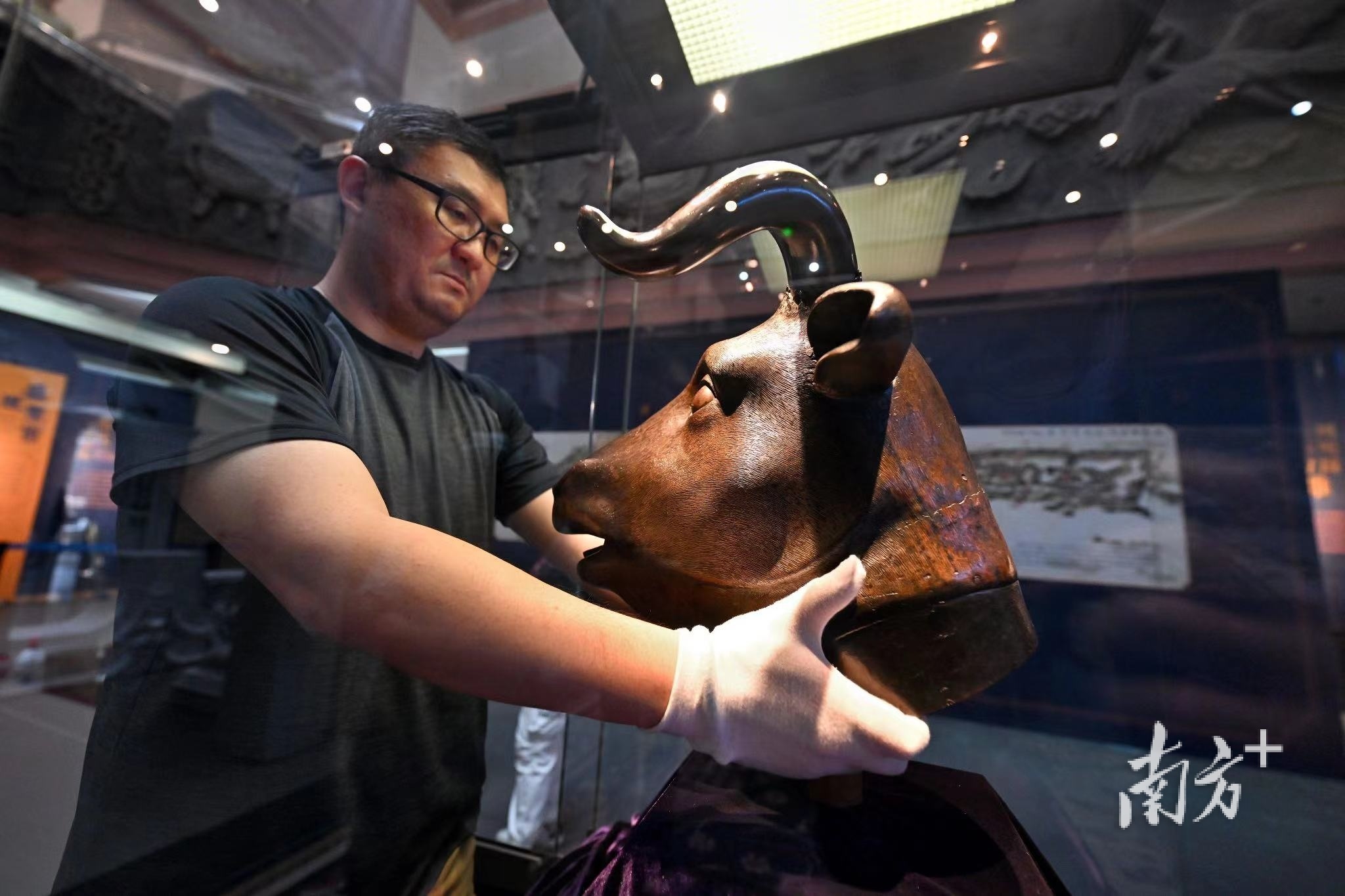 圆明园牛首铜像在东莞市博物馆开箱入柜。