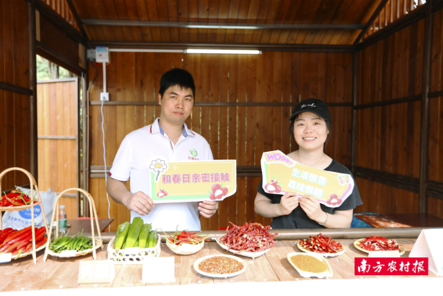 参展的农户和特色企业现场摆摊，一大波茂南特色农产品亮相古荔园市集