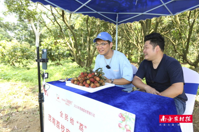 全民给“荔”茂南荔枝电商直播大赛正式启动，网红、主播齐聚禄段古荔园，助力2023茂南荔枝线上销售