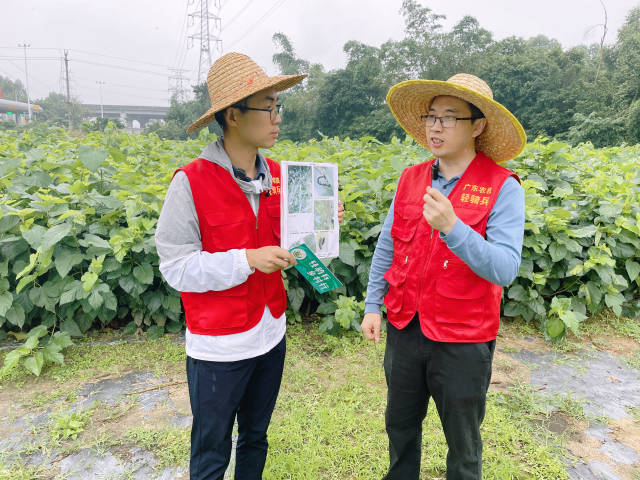廣東省農(nóng)業(yè)科學(xué)院植物保護(hù)研究所副研究員程保平