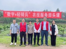 果桑,、菜桑管理有側(cè)重,，勤剪枝多巡園 | 輕騎兵田頭課