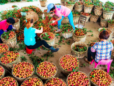 金融如何助力强县兴镇富村？