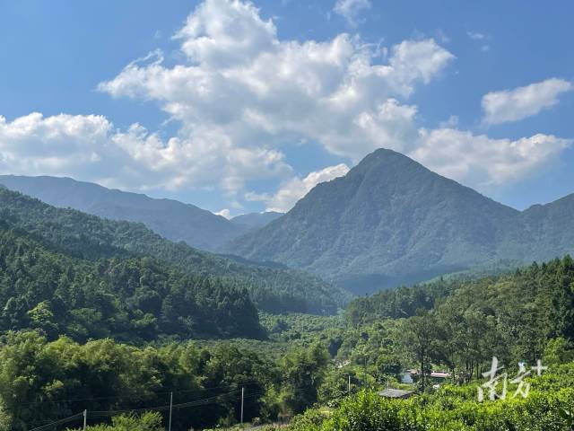 肇庆怀集县三岳自然保护区。卢逸轩 摄