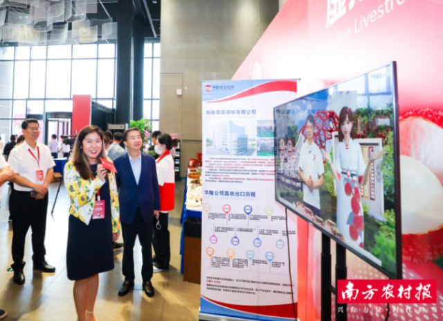 在从化荔枝元宇宙直播推介专场上，领导嘉宾与“荔儿公主”互动。